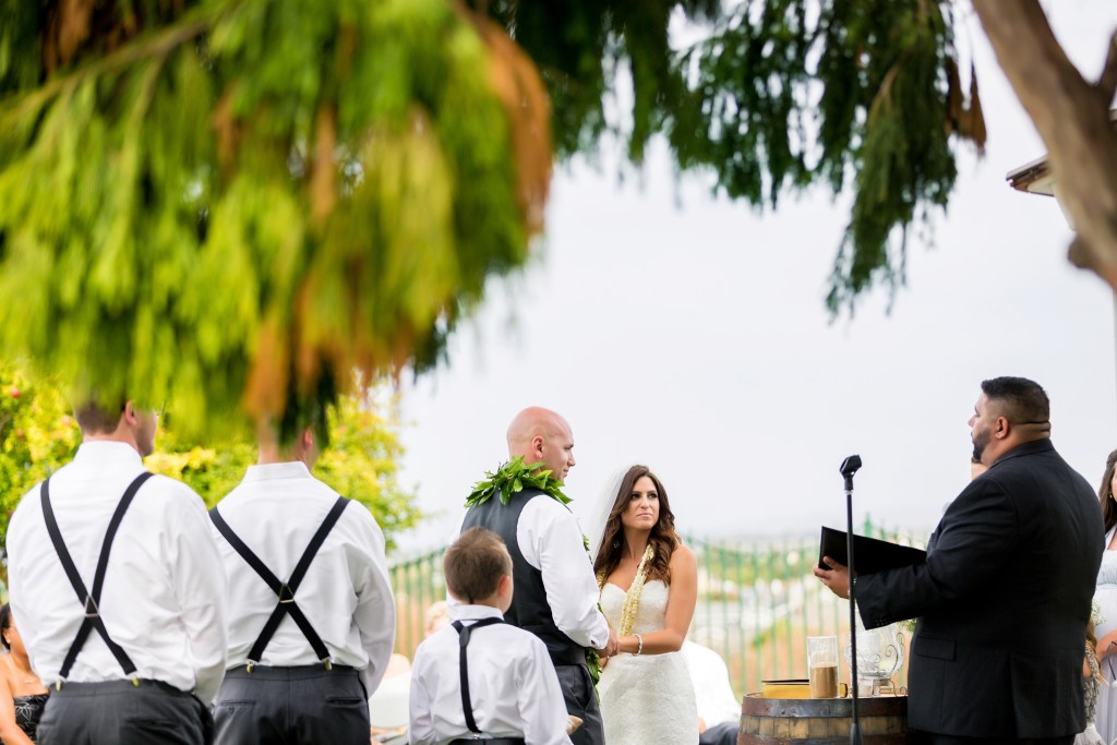 Jaime Davis Photography