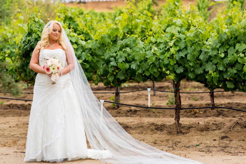 Jaime Davis Photography