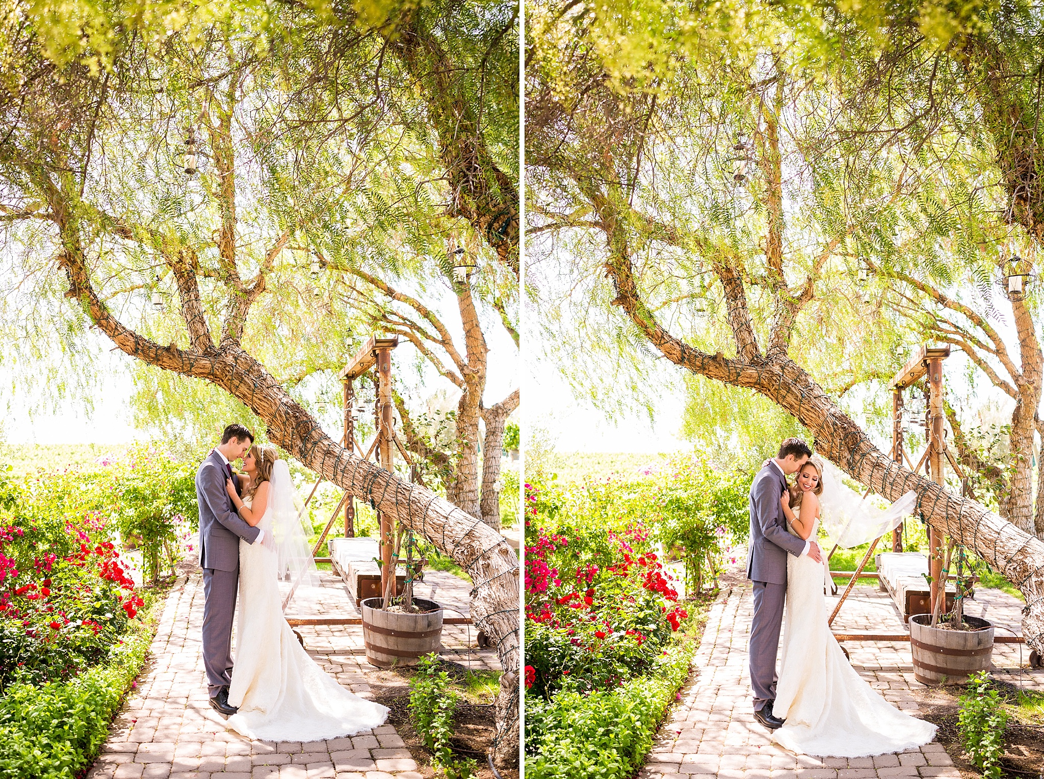 View More: http://jaimedavisphoto.pass.us/amandabrandonmarried