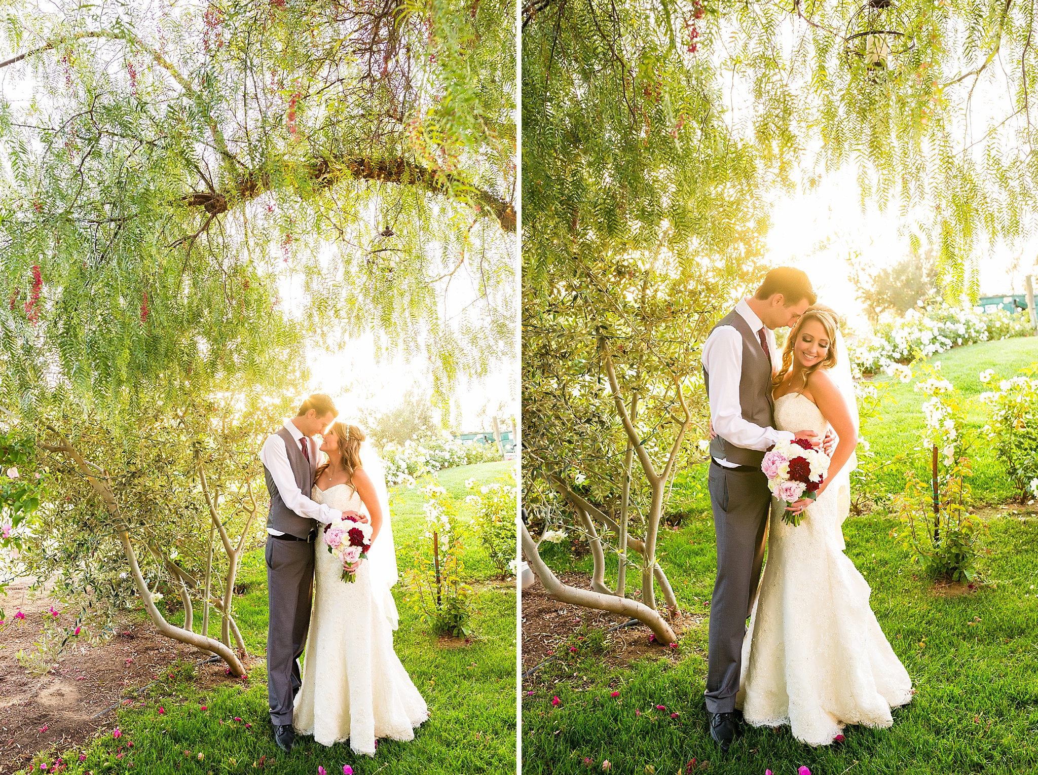 View More: http://jaimedavisphoto.pass.us/amandabrandonmarried